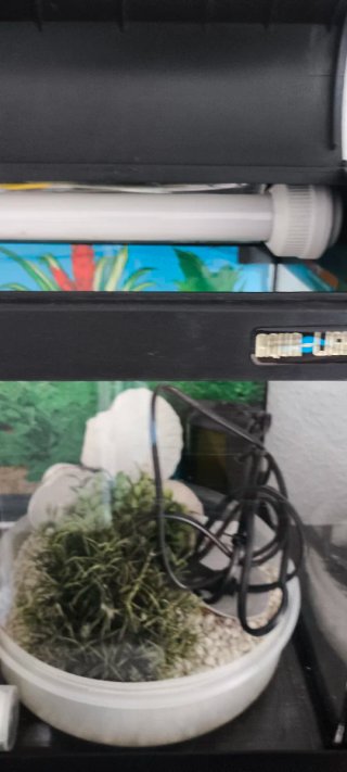 PECERA + LUZ UV Aqua-Light
