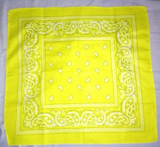 Lote 2 Pañuelos Estampados