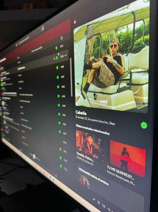 Monitor LG Negro