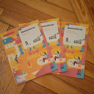 Lote libros 5° de Primaria.