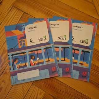 Lote libros 5° de Primaria.