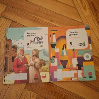 Lote libros 5° de Primaria.