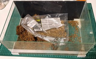Acuario rectangular