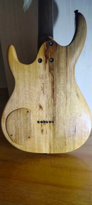 Chitarra Elettrica Custom Black Limba