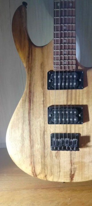 Chitarra Elettrica Custom Black Limba