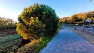 Solar en venta en Barri de Tueda en Sant Feliu de Guíxols