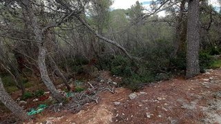 Terreno en venta en Mas Alba en Sant Pere de Ribes