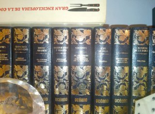 Colección de diez libros, editorial OCÉANO