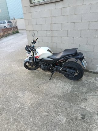 Honda CB600F Hornet 2010 Roja/Blanca