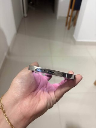 iPhone 13 Pro Max Argento
