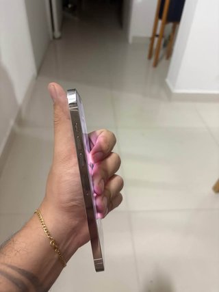 iPhone 13 Pro Max Argento