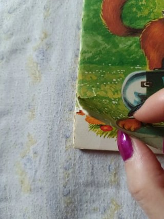 La sorpresa del zorro