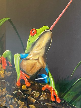 Cuadro Rana Acrílico 70x50cm