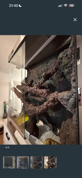 Terrario para reptil