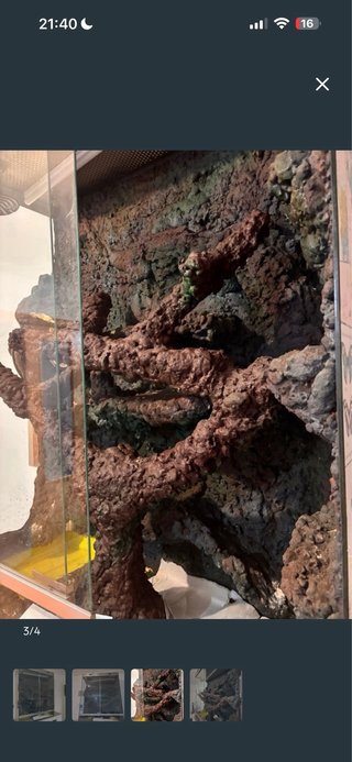 Terrario para reptil