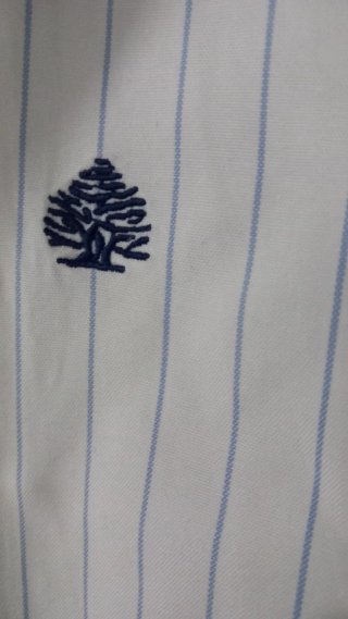 Camisa de rayas para hombre