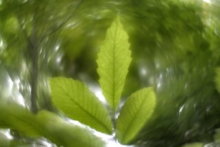 Helios 44-2 58mm Lente