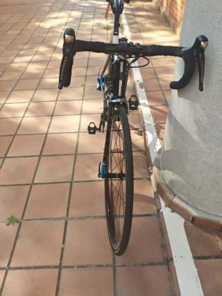 Bicicleta carretera FOCUS CAYO