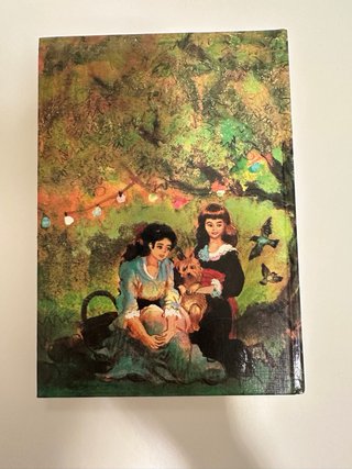 Libro "Piccoli uomini" di L. M. Alcott vintage