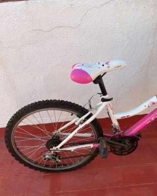Bicicleta infantil rosa AVALON 20
