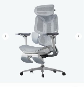 Silla Ergonómica Gris/Blanca Casi Nueva
