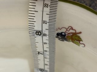 Vajilla fuentes  San Claudio porcelana fruta