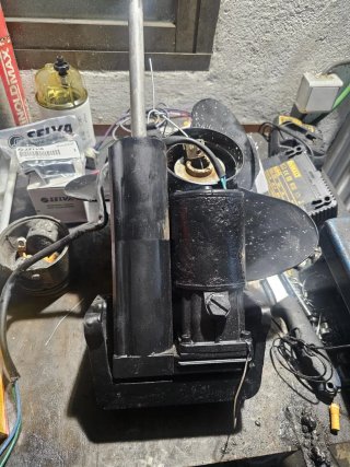 Power trim Mercury/Mariner