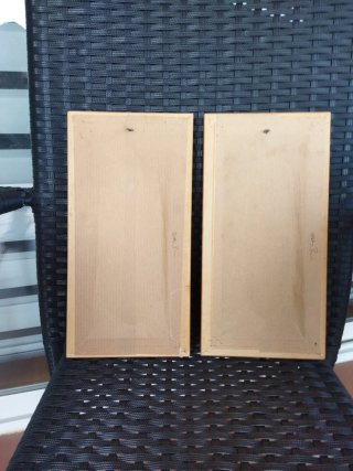 Juego de 2 cuadros decorativos 15 ×30