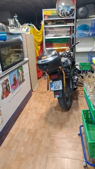 Honda cb250
