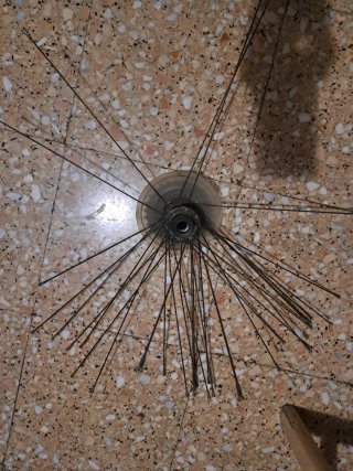 Rueda de Bicicleta Orus