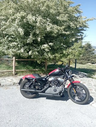 Harley Davidson Sportster 1200cc 20.000km