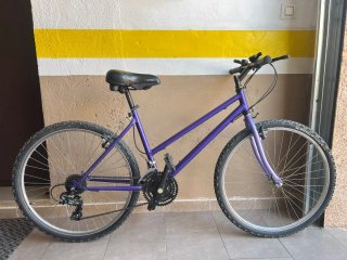 Bicicleta Morada