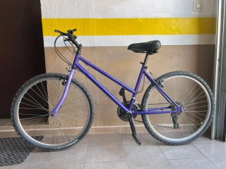 Bicicleta Morada