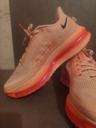 Nike Pegasus Premium Talla 43