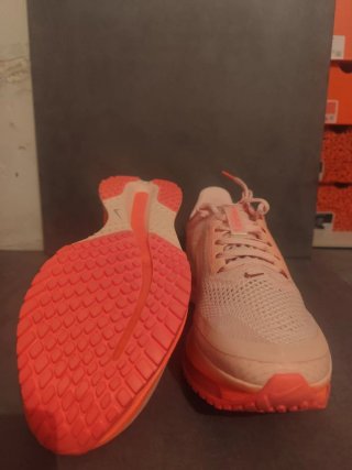 Nike Pegasus Premium Talla 43