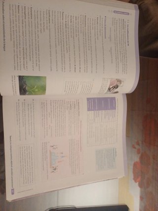 Lengua castellana y literatura 1 Bachillerato