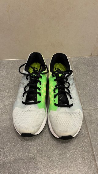 Nike Zoom Pegasus 31 Playeros