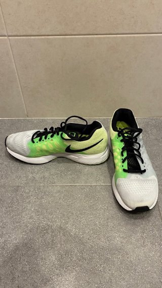 Nike Zoom Pegasus 31 Playeros