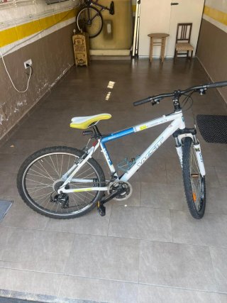 Bicicleta de Montaña WST Cosmo