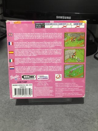 Barbie Horse Adventures: The Big Race GBA