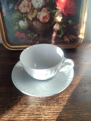 Taza y plato Vista Alegre porcelana