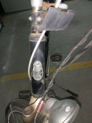 Bicicleta Gacelle Clásica