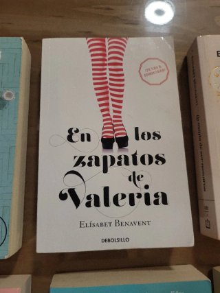 Fuimos canciones