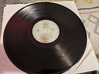 Los Suaves Frankenstein Vinilo