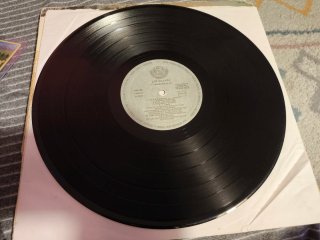 Los Suaves Frankenstein Vinilo