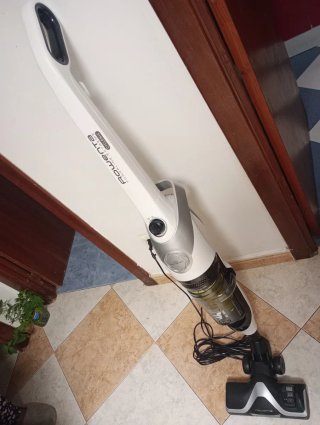 Aspirador Rowenta Powerline Extreme