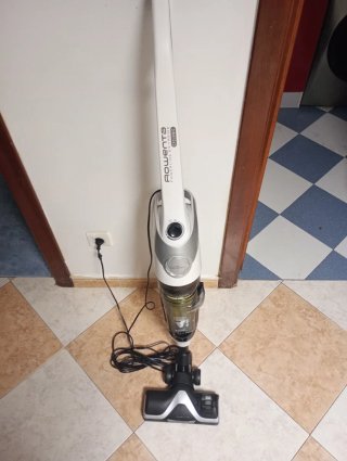 Aspirador Rowenta Powerline Extreme