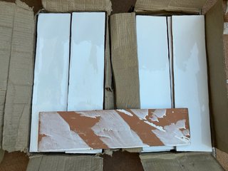 25 Azulejos Blanco Brillo Estilo Metro 30x7,5 cm