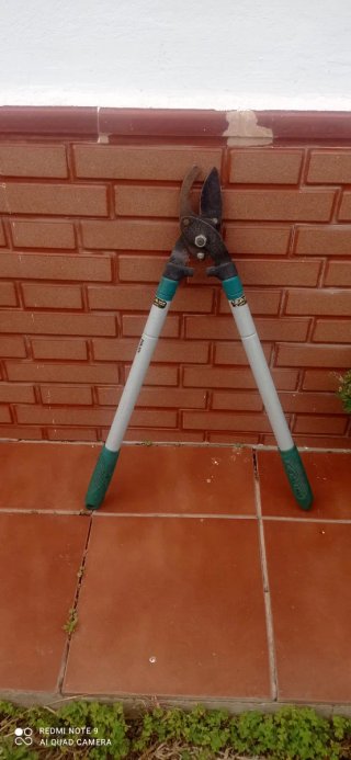 Soplador de hojas eléctrico rojo