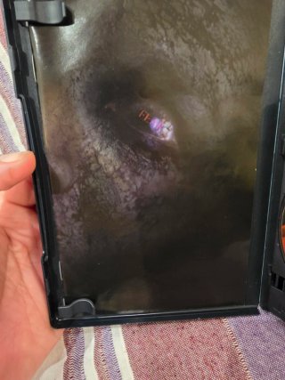 Juego PS2 The Fear (NTSC J)